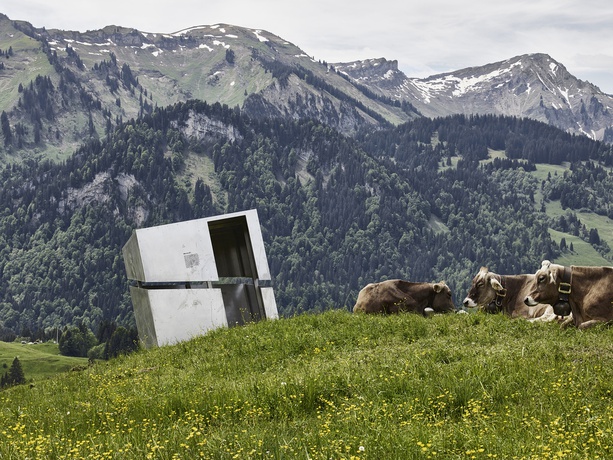 Georunde Rindberg, Sibratsgfäll, Vorarlberg – © Foto: Adolf Bereuter Georunde Rindberg, Sibratsgfäll, Vorarlberg