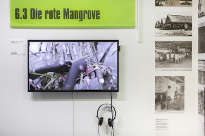 Ausstellung "Bildungsschock" im vai – © Foto. Petra Rainer Ausstellung "Bildungsschock" im vai