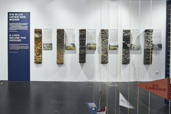 © Foto: Darko Todorovic