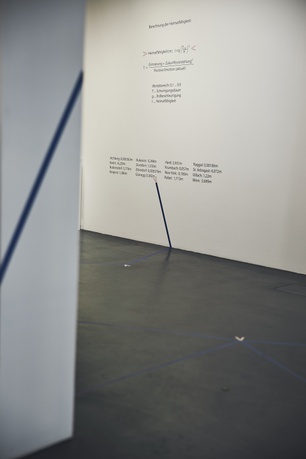 © Foto: Darko Todorovic