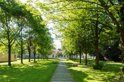Krebs und Herde Landschaftsarchitekten | vormals Rotzler Krebs Partner Landschaftsarchitekten: Stadtgarten Dornbirn