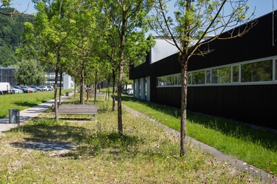 Krebs und Herde Landschaftsarchitekten | vormals Rotzler Krebs Partner Landschaftsarchitekten: VKW-Areal Illwerke, Bregenz