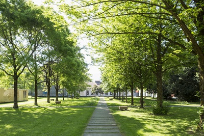 © Foto: Darko Todorovic