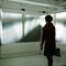 Blick in die Ausstellung "Farbenhäuser und Lichtgewächse"