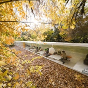 Studio in the Woods, Madrid