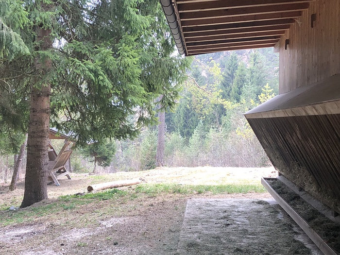 Wildfütterungsstelle bei Gnadewald