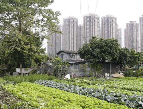 MaPoPo Village in Hongkong