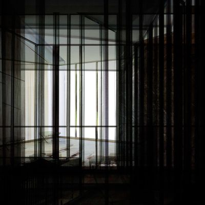 aus der Serie »MIES«, 2017