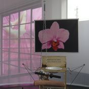 Blick in die Ausstellung im aut