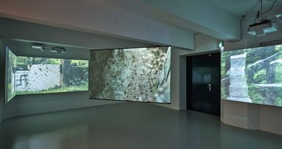 Blick in die Ausstellung "Steine zwischen den Fronten" im aut