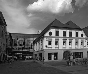 hauser_web_1