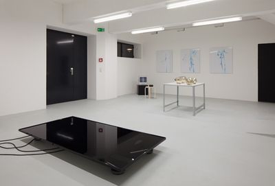 Blick in die Ausstellung "Form Follows Nature"