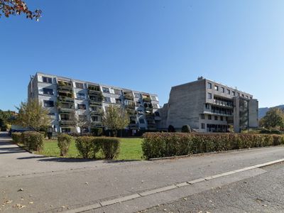 Atelier Pontiller-Swienty, Kommunikative Ulfiswiese, Innsbruck, 1981 – 83