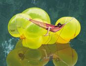 park(t)raum im rapoldipark