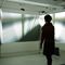 Blick in die Ausstellung "Farbenhäuser und Lichtgewächse"