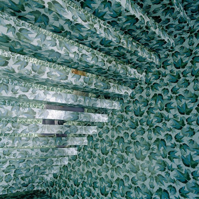 Paul Ott, „Schwarzer Laubfrosch“,  Bad Waltersdorf (Arch.: SPLITTERWERK)