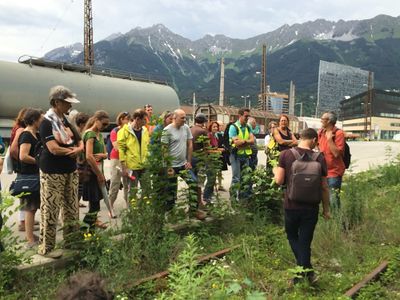 Spaziergang durch die unbekannte Welt der Pflanzen mit Thomas Schuh und Michael Thalinger