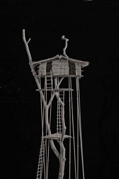 Architecture Without Architects, Korowai Tribe House
