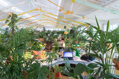 Second Home Mercado da Ribeira, Lissabon (2015 – 16)