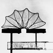 Frei Otto: Seifenblasen, Bildnachweis: © IL, Uni Stuttgart