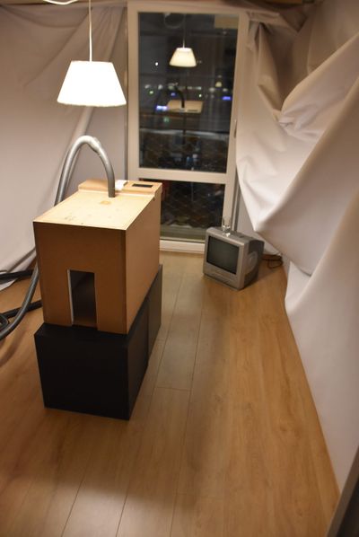 Ausstellungseröffnung "Numen/For Use: Negative Space and Collapsing Room" im aut