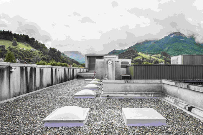 © Foto: Dietmar Tollerian