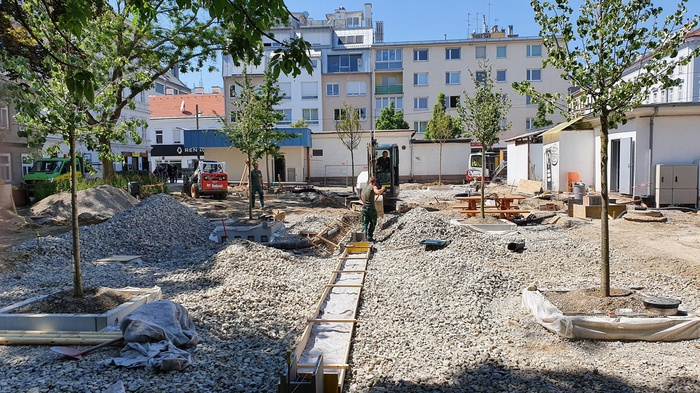 Johann-Nepomuk-Vogl-Platz in Wien mit Schwammstadtbäumen